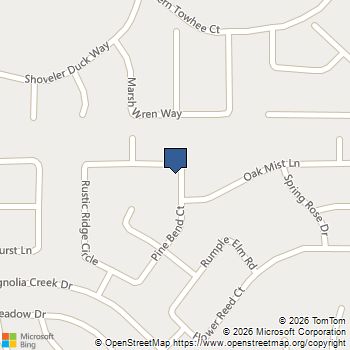 952 Gentle Moss Drive Magnolia, TX MLS# 96896420