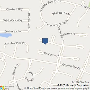 71 W Honey Grove Place The Woodlands, TX MLS# 92460698