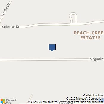 25869 Magnolia Drive Splendora, TX MLS# 32766739