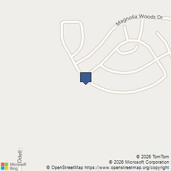 21551 Bluebonnet Bay Drive Magnolia, TX MLS# 6703205