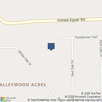 4325 HONEA EGYPT RD Montgomery, TX MLS# 80066822