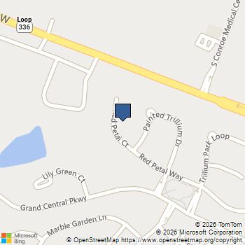 328 Red Petal Court Conroe, TX MLS# 94933476