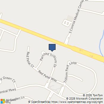 166 Painted Trillium Drive Conroe, TX MLS# 63956984