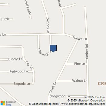 11236 Memory Lane Cleveland, TX MLS# 15320668