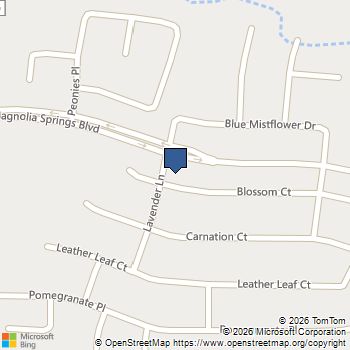 25560 Blossom Court Magnolia, TX MLS# 74816352