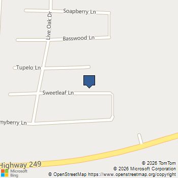 Lot 10 B53 Sweetleaf Lane Plantersville, TX MLS# 13836596