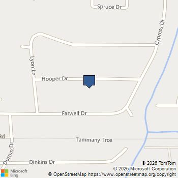 29496 Hooper Drive Lacombe, LA MLS# 2553013