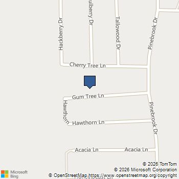 Lot 33 Gum Tree Lane Plantersville, TX MLS# 8765671