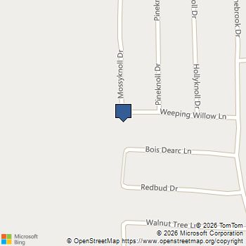 1017 Weeping Willow Drive Plantersville, TX MLS# 38897135