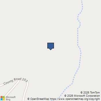 11560 County Road 203 Plantersville, TX MLS# 67120975