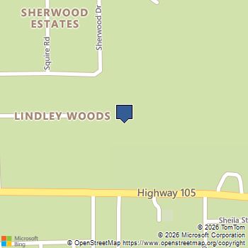 19948 Lindley Woods Street Cleveland, TX MLS# 55512973
