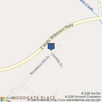 35 Woodland Hills Drive B Conroe, TX MLS# 60789529