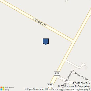 18213 Blazing Ranch Ln Manor, TX MLS# 1138504