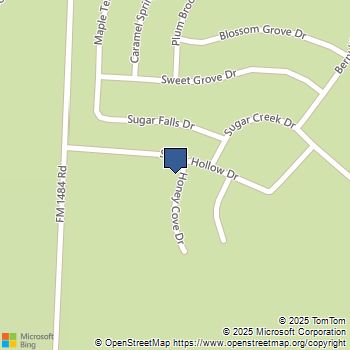 15695 Honey Cove Drive Conroe, TX MLS# 65072514