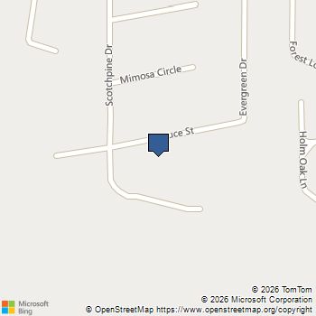 204 Spruce Street Mandeville, LA MLS# 2546128