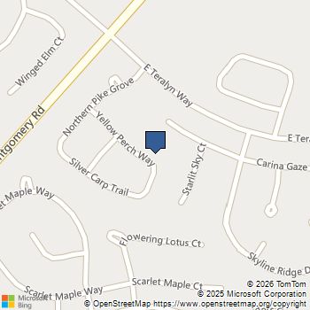 108 Yellow Perch Way Conroe, TX MLS# 22549466