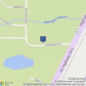 Lot 3 SHERWOOD Drive Shepherd, TX MLS# 87506923