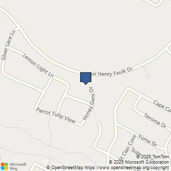 14302 Honey Gem Dr Pflugerville, TX MLS# 7730004