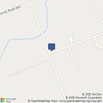 1601 County Road 455 County Road 466 Elgin, TX MLS# 3166255