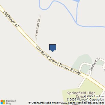 La 42 Highway Springfield, LA MLS# 2398936