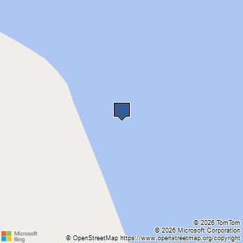 223 Gooseberry Lane Conroe, TX MLS# 24587550