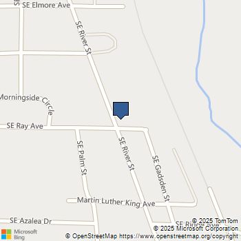 16533 SE River Street Blountstown, FL MLS# 394376