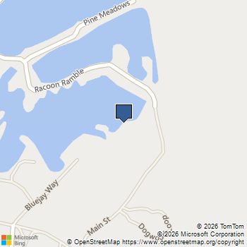 91 Bluejay Way Cleveland, TX MLS# 67562656