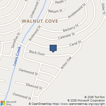 9773 Black Gum Willis, TX MLS# 72555021