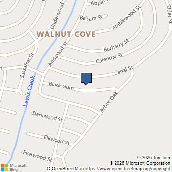 9770 Blackgum Drive Willis, TX MLS# 92236672