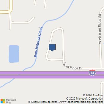 43185 Pecan Ridge Drive Hammond, LA MLS# 2573273