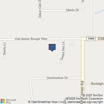 10372 Old Baton Rouge Road Hammond, LA MLS# 2416872