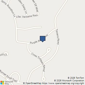 8119 Purple Aster Pass Lago Vista, TX MLS# 5055693