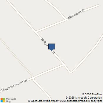 331 Hollywood Street Livingston, TX MLS# 82235988