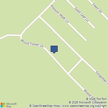 9 Wood Forest Drive New Waverly, TX MLS# 85607864