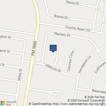 1007 Papaya Cv Hutto, TX MLS# 6887060