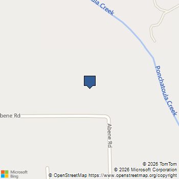 50428 Abene Road Tickfaw, LA MLS# 2559330