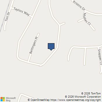 314 Victorias Circle Saint Marys, GA MLS# 10832435