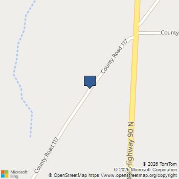 TBD County Road 117 Bedias, TX MLS# 53279135