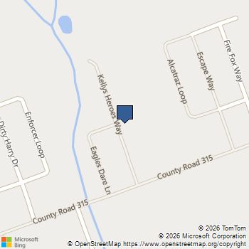 204 Kellys Heroes Way Jarrell, TX MLS# 1656509