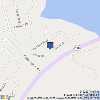 257 Canal Pointblank, TX MLS# 93512716