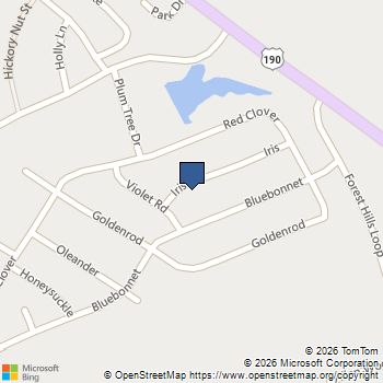 235 Iris Livingston, TX MLS# 41617489