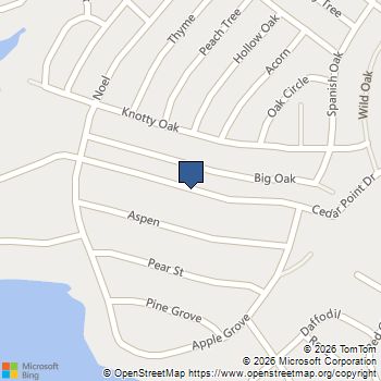 TBD Cedar Point Livingston, TX MLS# 46270721