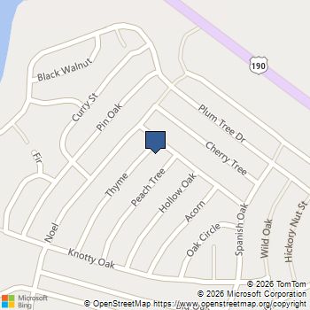 125 Thyme Livingston, TX MLS# 64933981