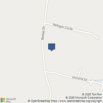 25216 Bedias Drive Bedias, TX MLS# 63736502
