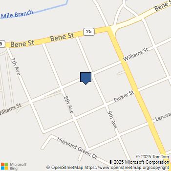 304 9Th Avenue Franklinton, LA MLS# 2534808