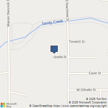 310 Sheila Street Jasper, TX MLS# 36284590