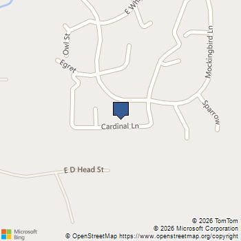 1347 Cardinal Lane Trinity, TX MLS# 62873490