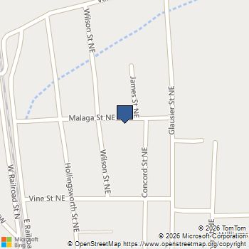 211 Malaga Street Pelham, GA MLS# 10711088