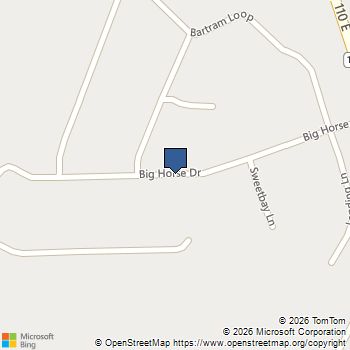 0 Big Horse Drive 83 Waynesville, GA MLS# 10715670