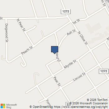 319 N Howard Street Grapeland, TX MLS# 60133102